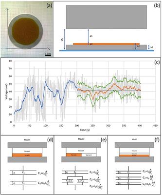 Electrospun Structures Made of a Hydrolyzed Keratin-Based Biomaterial for Development of in vitro Tissue Models